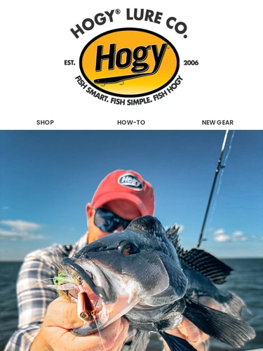Hogylures Newsletter