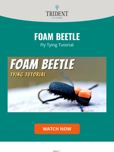 Trident Fly Fishing Newsletter