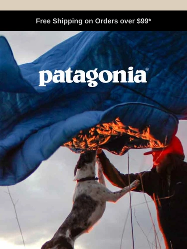 Patagonia Newsletter