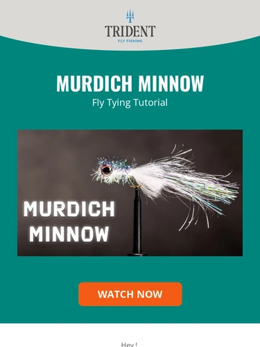 Trident Fly Fishing Newsletter