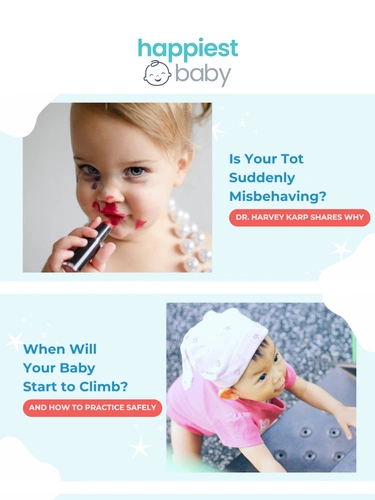 Happiest Baby Newsletter