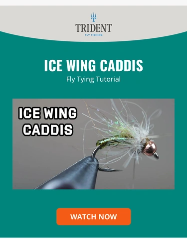 Trident Fly Fishing Product Launch