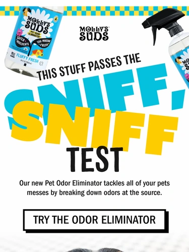 Molly's Suds Newsletter