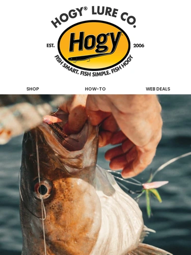 Hogylures Product Launch