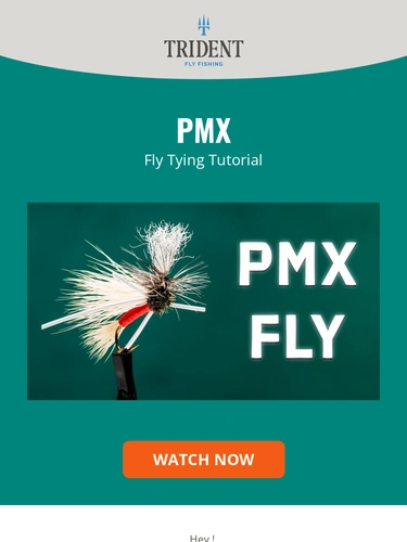 Trident Fly Fishing Newsletter