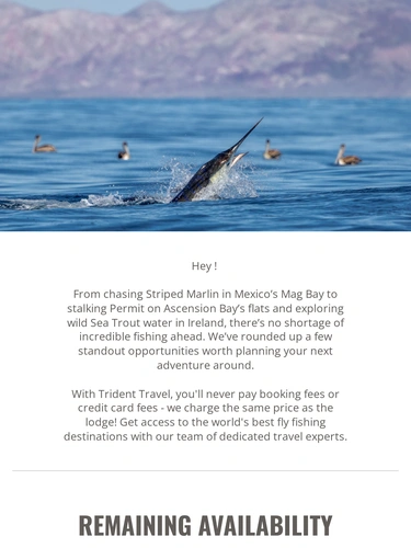 Trident Fly Fishing Holiday Campaign