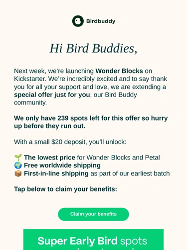 My Bird Buddy Product Launch