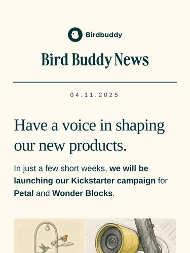 My Bird Buddy Product Launch