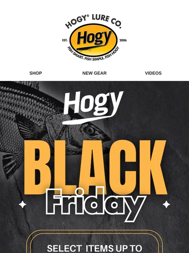 Hogylures Newsletter