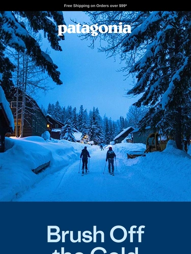 Patagonia Sale Announcement