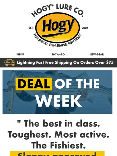 Hogylures Product Launch