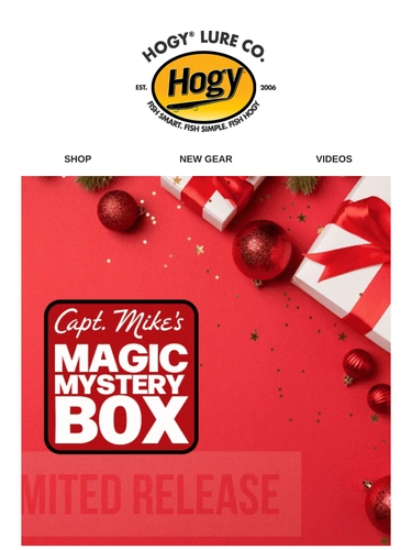 Hogylures Newsletter