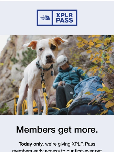 The North Face Newsletter