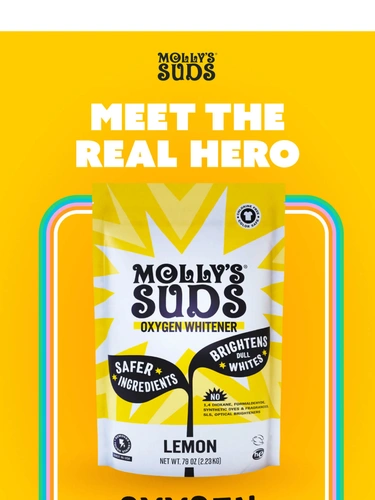 Molly's Suds Newsletter