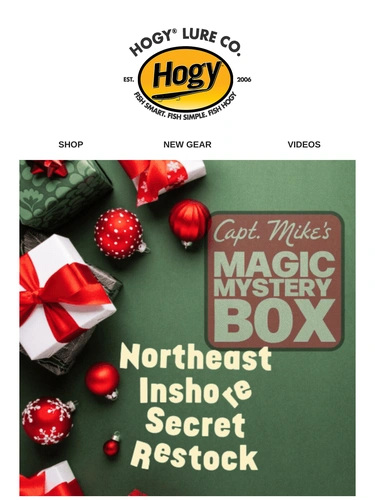 Hogylures Newsletter