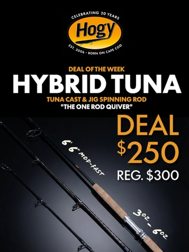 Hogylures Sale Announcement