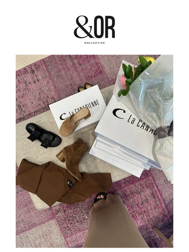 Andor Collective Newsletter