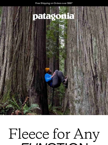 Patagonia Newsletter
