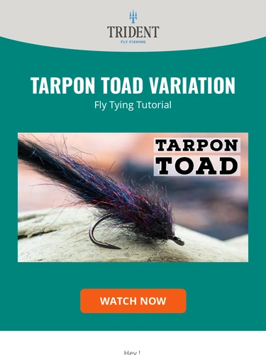 Trident Fly Fishing Sale Announcement