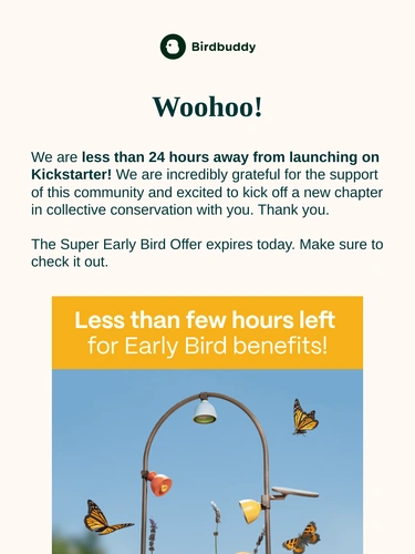 My Bird Buddy Newsletter