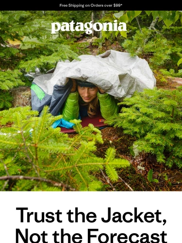 Patagonia Sale Announcement