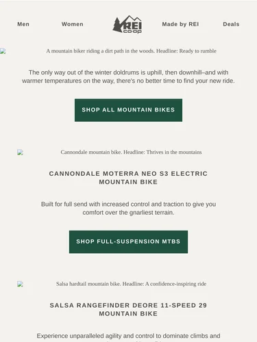 REI Sale Announcement