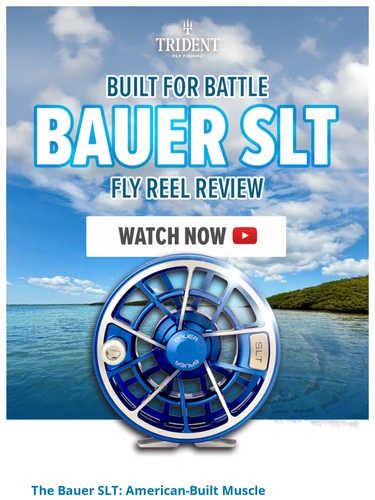 Trident Fly Fishing Newsletter