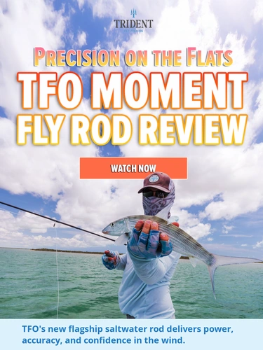 Trident Fly Fishing Newsletter