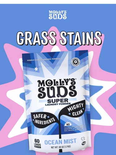 Molly's Suds Newsletter