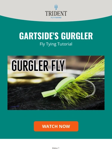 Trident Fly Fishing Newsletter