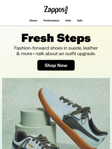 Zappos Newsletter