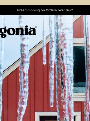 Patagonia Newsletter