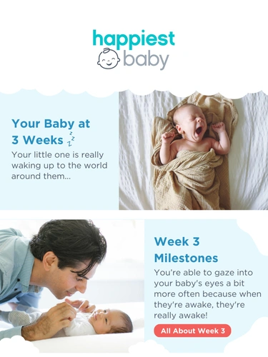 Happiest Baby Newsletter