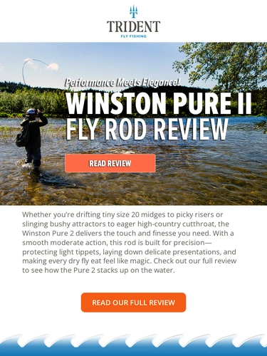 Trident Fly Fishing Newsletter