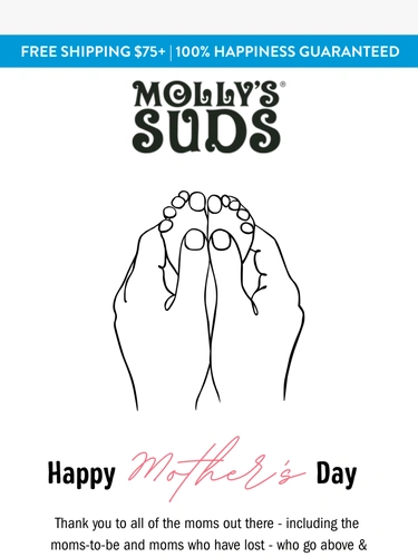 Molly's Suds Newsletter