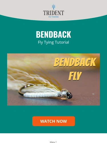 Trident Fly Fishing Newsletter