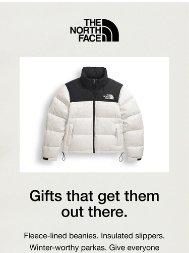 The North Face Newsletter
