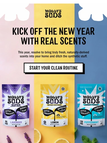 Molly's Suds Newsletter