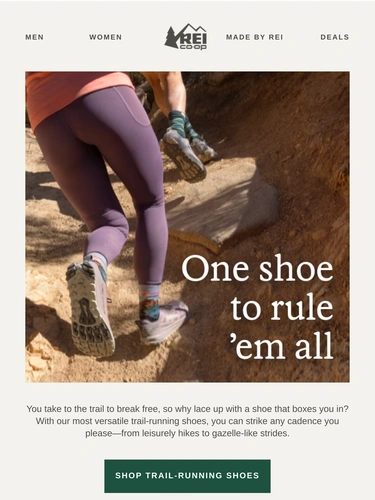 REI Sale Announcement