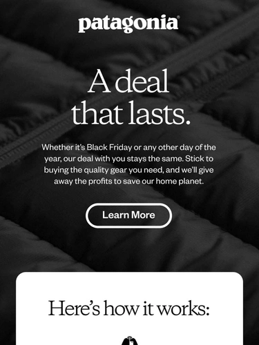 Patagonia Sale Announcement