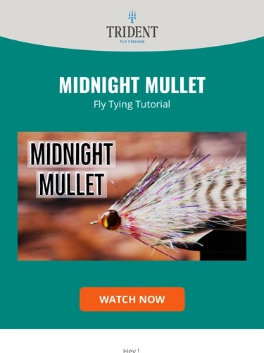 Trident Fly Fishing Newsletter
