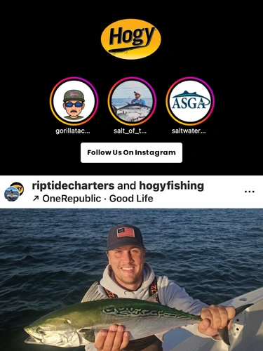 Hogylures Newsletter