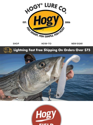 Hogylures Product Launch