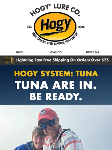 Hogylures Sale Announcement