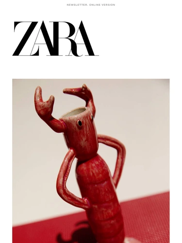 Zara Newsletter