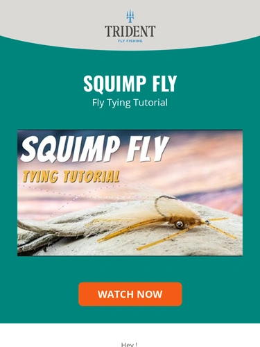 Trident Fly Fishing Newsletter