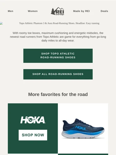 REI Newsletter