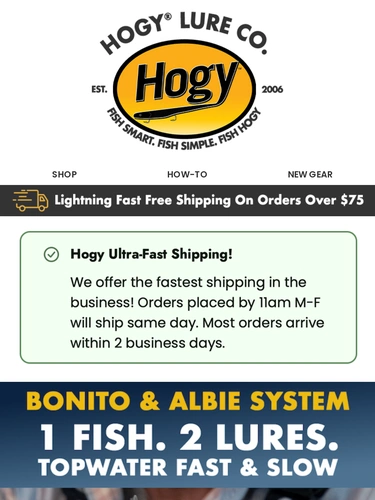 Hogylures Newsletter