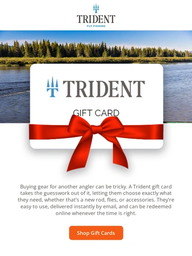 Trident Fly Fishing Newsletter