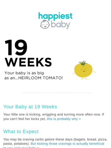 Happiest Baby Newsletter